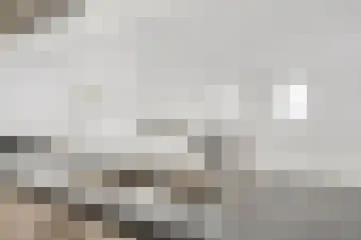 Jan van der Heijdenstraat 64 Tilburg thumbnail 13