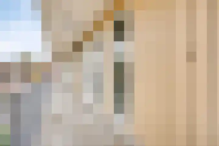 Jan van der Heijdenstraat 64 Tilburg thumbnail 32