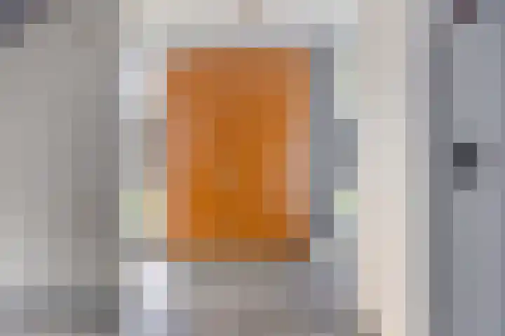 Jan van der Heijdenstraat 64 Tilburg thumbnail 35