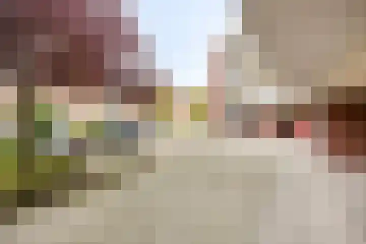 Jan van der Heijdenstraat 64 Tilburg thumbnail 39