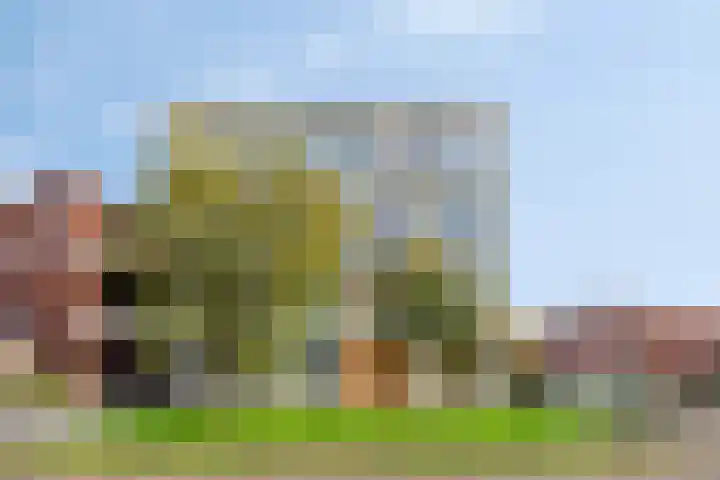 Jan van der Heijdenstraat 64 Tilburg thumbnail 43