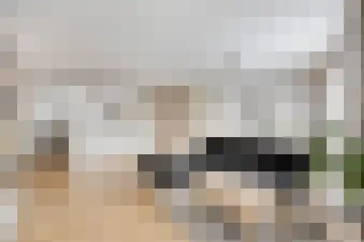 Jan van der Heijdenstraat 64 Tilburg thumbnail 5