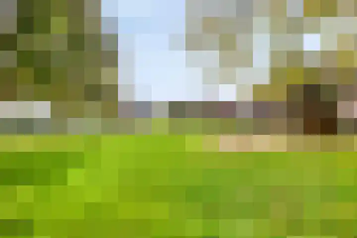 Jan van der Heijdenstraat 64 Tilburg thumbnail 50