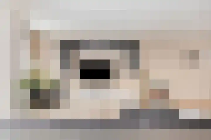 Jan van der Heijdenstraat 64 Tilburg thumbnail 6