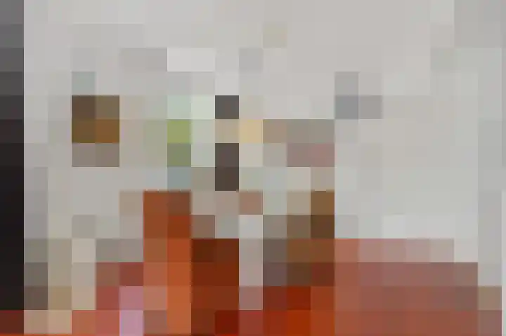 Jan van der Heijdenstraat 72 Den Haag thumbnail 6