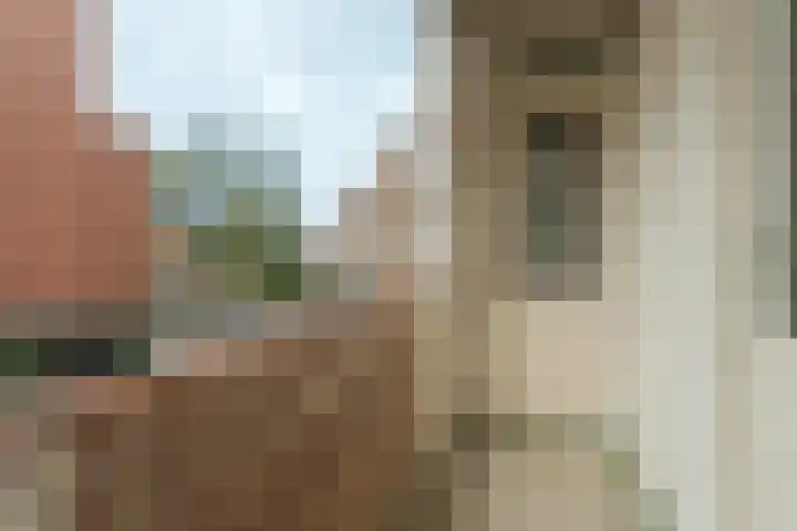 Jan van der Heijdenstraat 74 Den Haag thumbnail 17