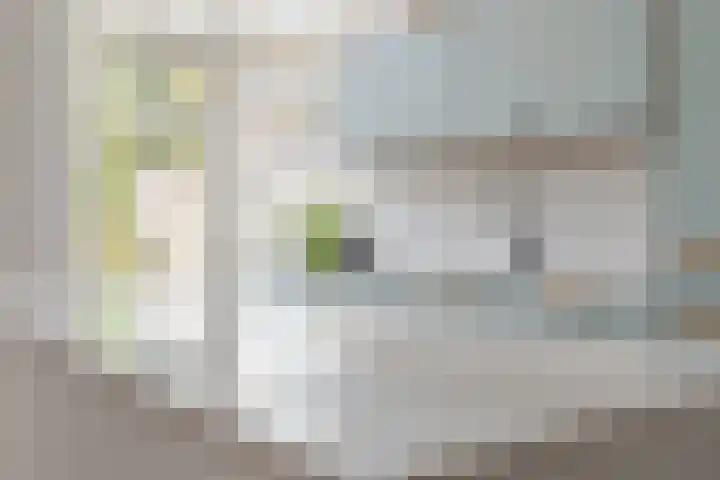Jan van der Heijdenstraat 8 Utrecht thumbnail 7