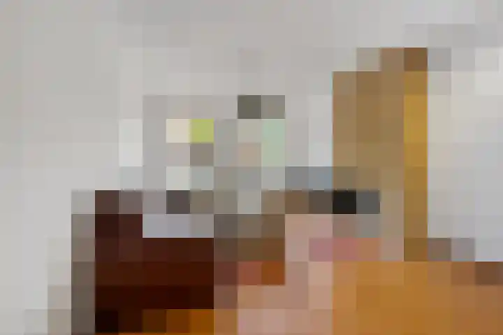 Jan van der Heijdenstraat 84 Den Haag thumbnail 38