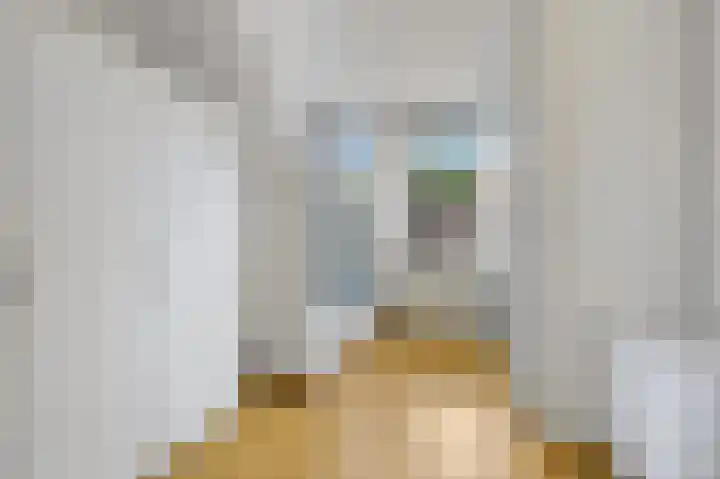 Jan van der Heijdenstraat 84 Den Haag thumbnail 5