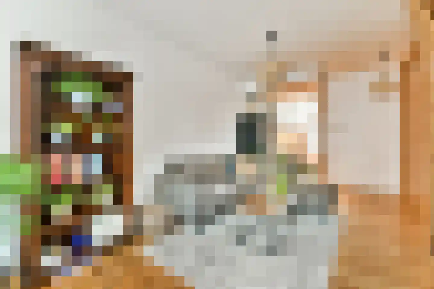 Jan van der Heijdenstraat 9 Gouda thumbnail 10