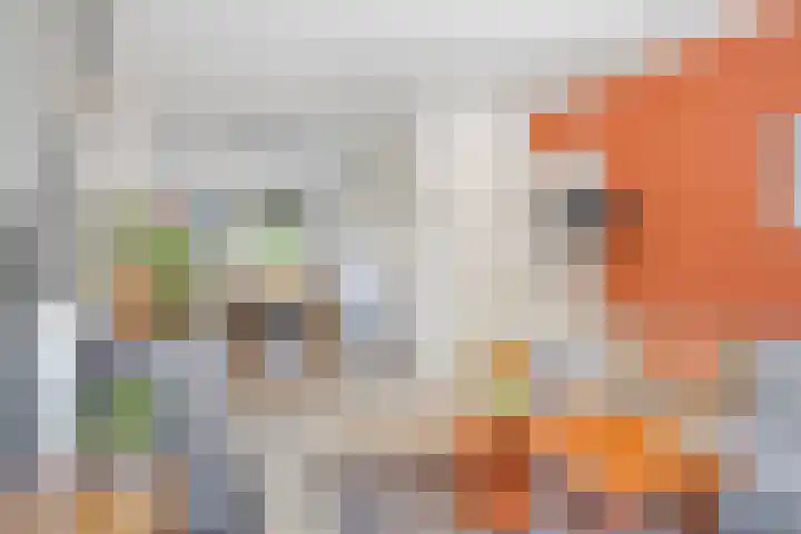 Jan van der Heydenstraat 1 Hengelo thumbnail 10