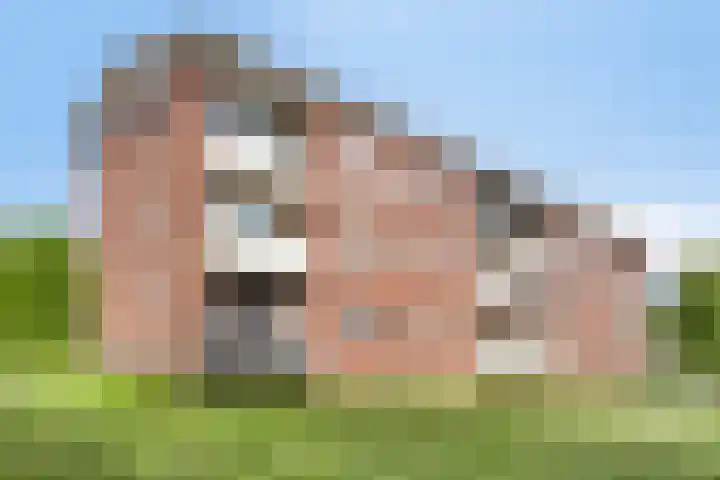 Jan van der Heydenstraat 1 Hengelo thumbnail 29
