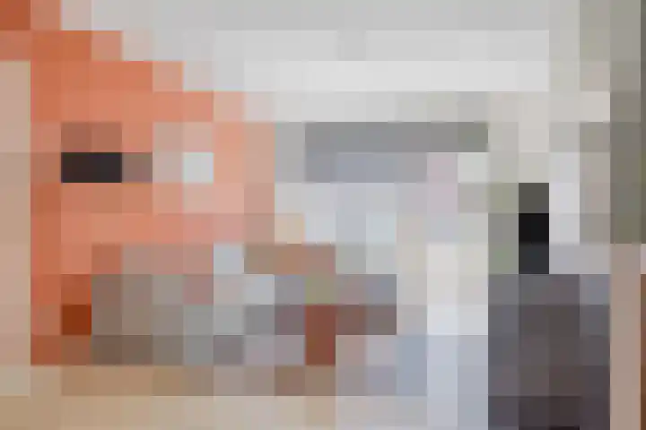 Jan van der Heydenstraat 1 Hengelo thumbnail 9