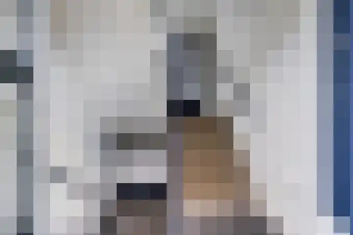 Jan van der Heydenstraat 2 II Hengelo thumbnail 8