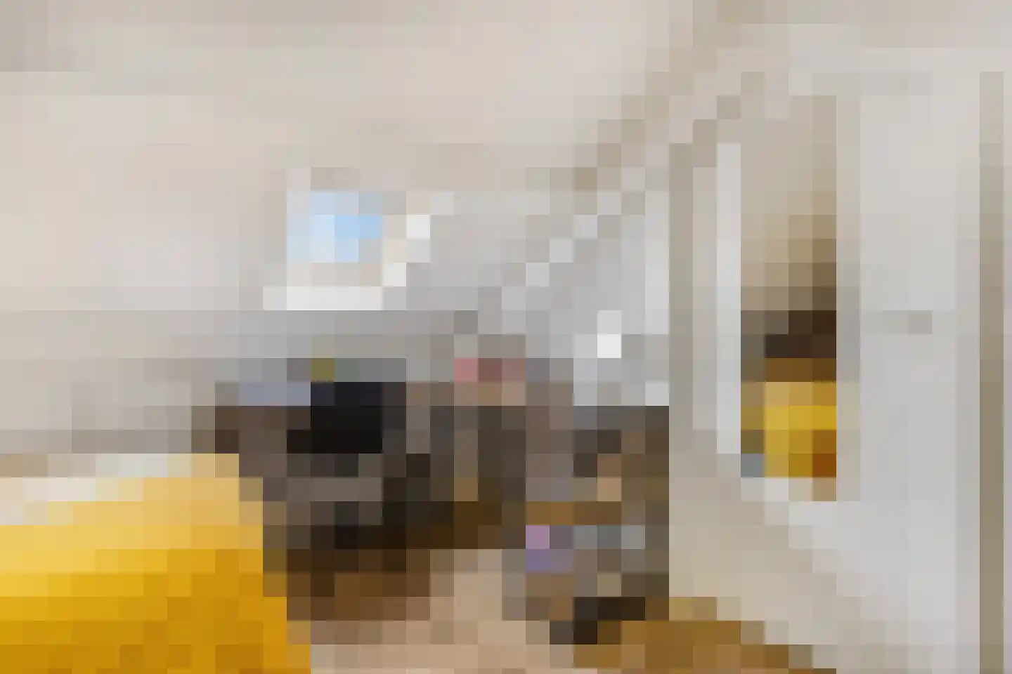 Jan van der Heydenstraat 26 Kootwijkerbroek thumbnail 35