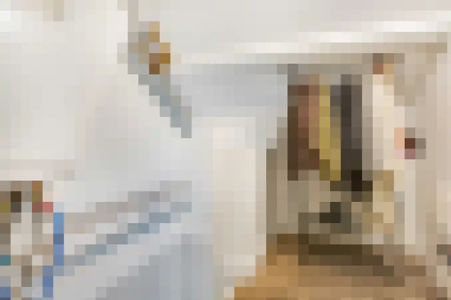 Jan van der Heydenstraat 26 Kootwijkerbroek thumbnail 36