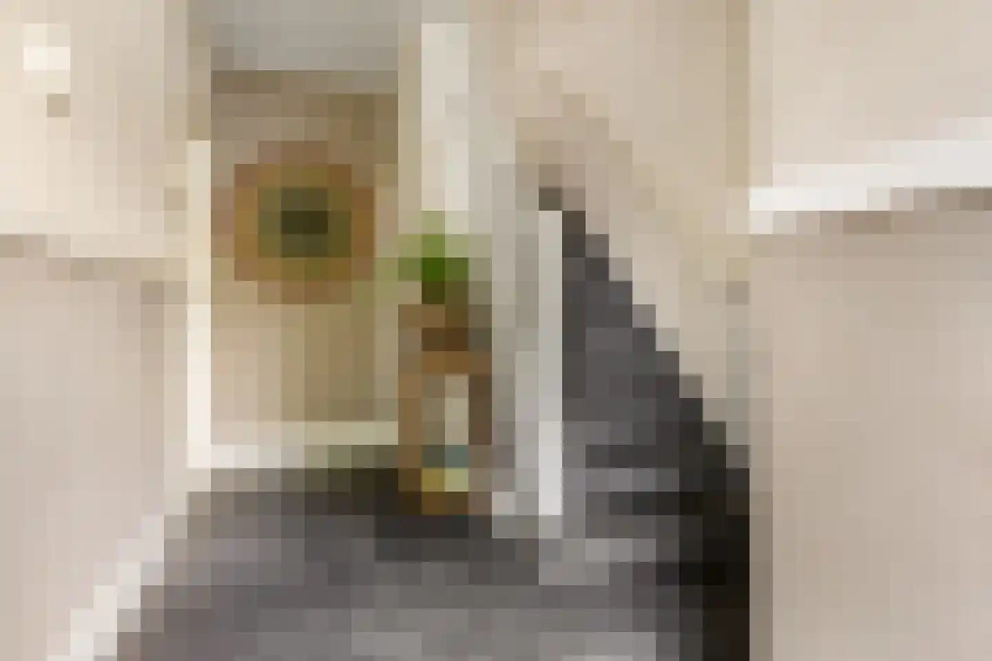 Jan van der Heydenstraat 26 Kootwijkerbroek thumbnail 8