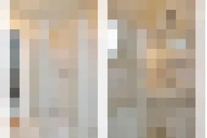 Jan van der Heydenstraat 3 Bleiswijk thumbnail 22