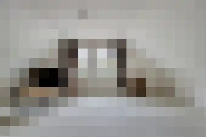 Jan van der Heydenstraat 3 Bleiswijk thumbnail 23