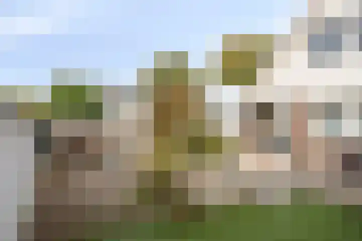 Jan van der Heydenstraat 3 Bleiswijk thumbnail 26