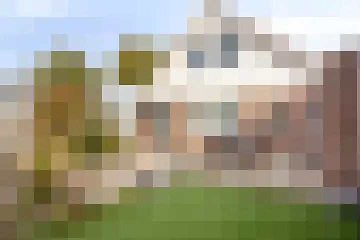 Jan van der Heydenstraat 3 Bleiswijk thumbnail 27