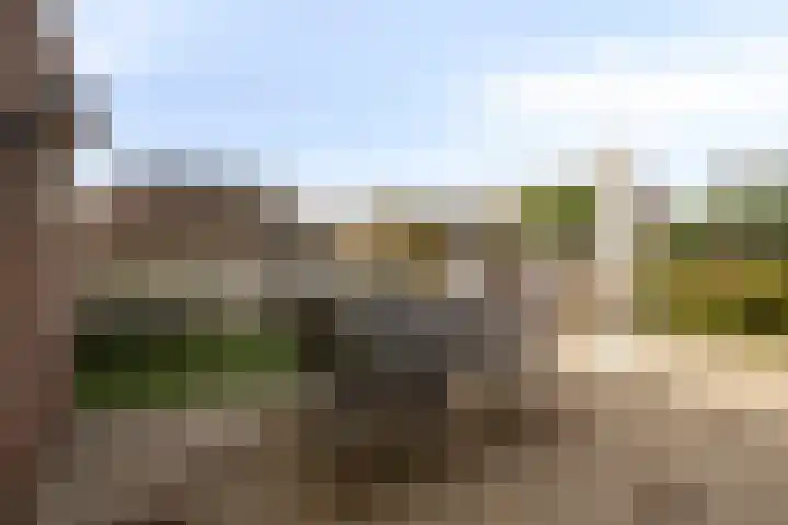 Jan van der Heydenstraat 3 Bleiswijk thumbnail 28