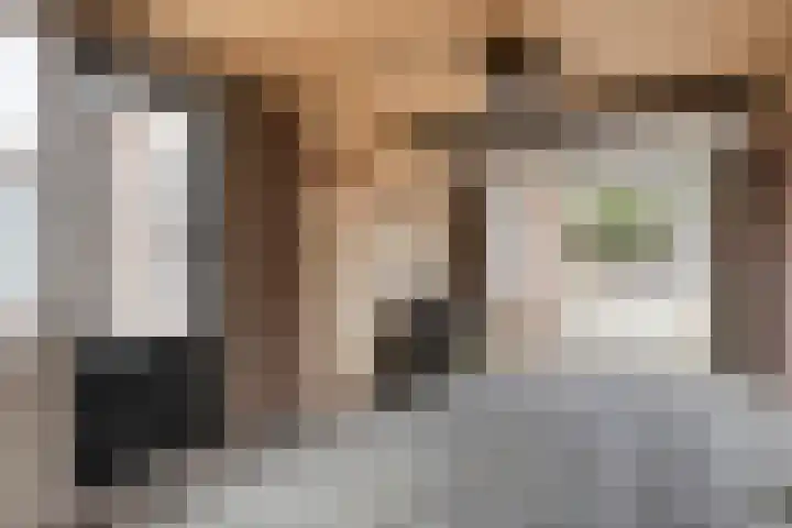 Jan van der Heydenstraat 3 Bleiswijk thumbnail 30