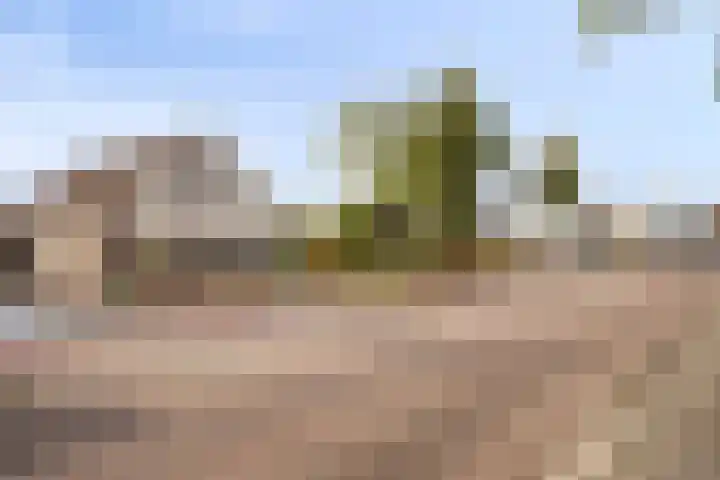 Jan van der Heydenstraat 3 Bleiswijk thumbnail 33
