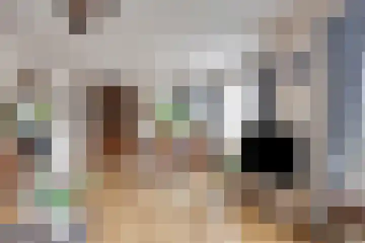 Jan van der Heydenstraat 3 Bleiswijk thumbnail 6