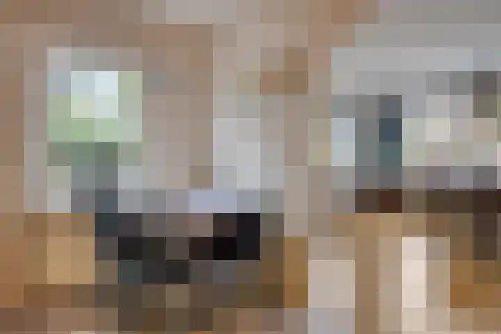 Jan van der Heydenstraat 3 Bleiswijk thumbnail 8