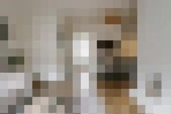 Jan van der Heydenstraat 3 I Hengelo thumbnail 17