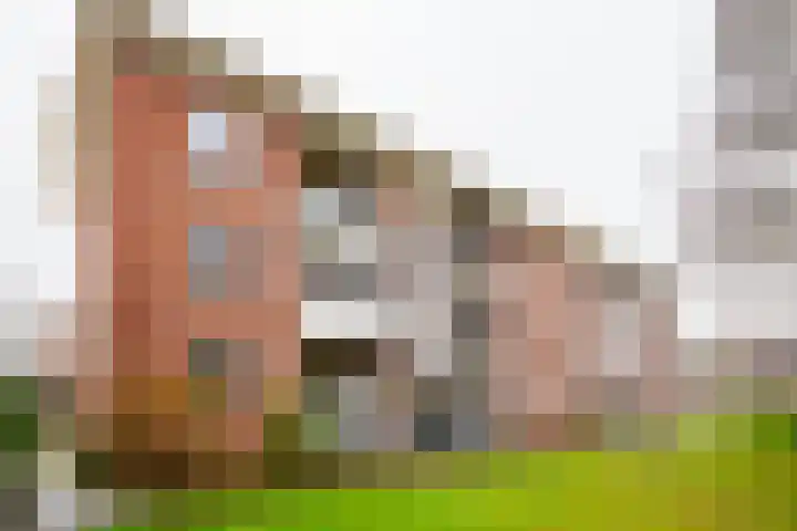 Jan van der Heydenstraat 3 I Hengelo thumbnail 30