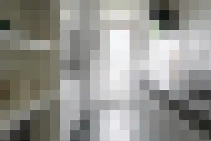 Jan van der Heydenstraat 3 I Hengelo thumbnail 4