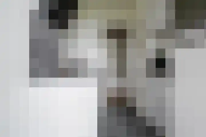 Jan van der Heydenstraat 3 I Hengelo thumbnail 5