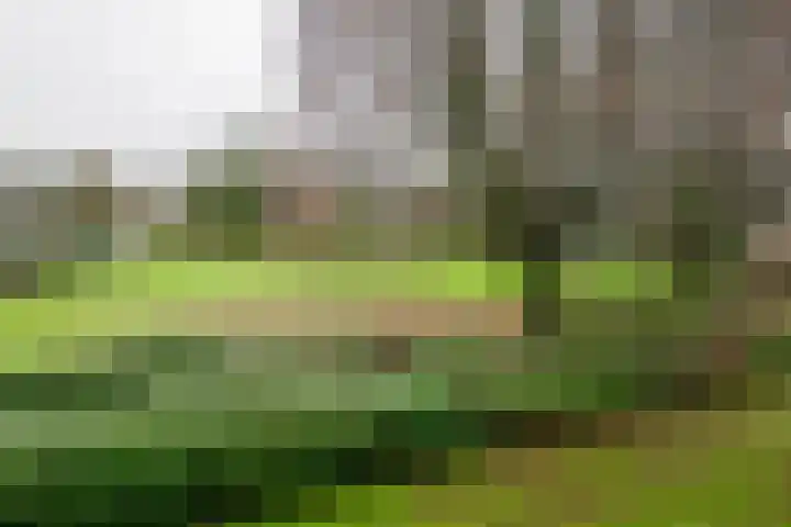 Jan van der Heydenstraat 3 I Hengelo thumbnail 8