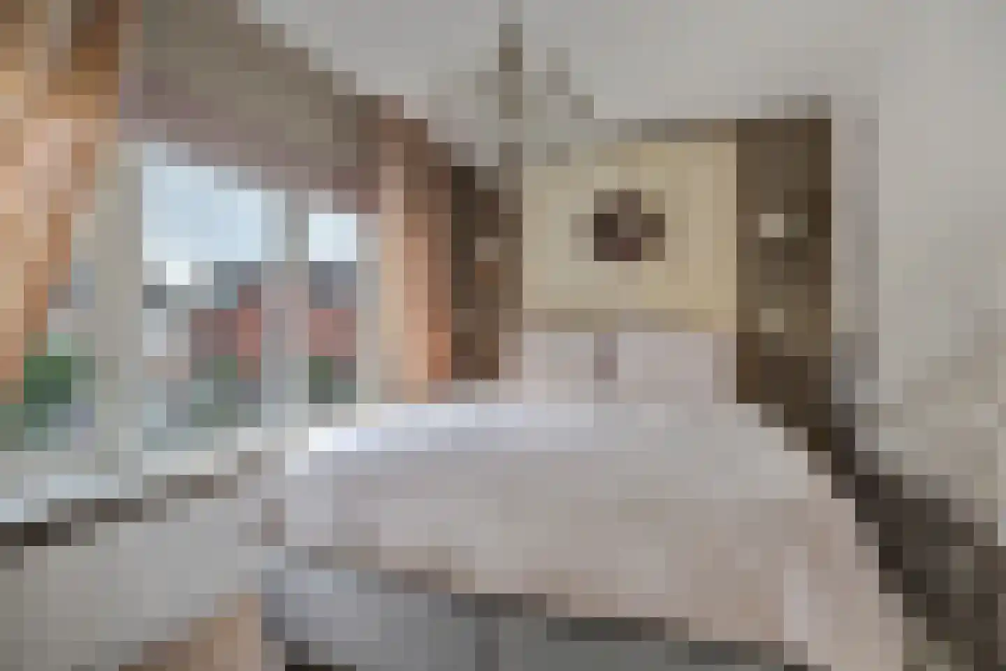 Jan van der Heydenstraat 4 Hendrik-Ido-Ambacht thumbnail 15