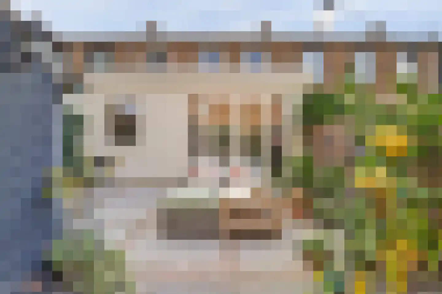Jan van der Heydenstraat 4 Hendrik-Ido-Ambacht thumbnail 47