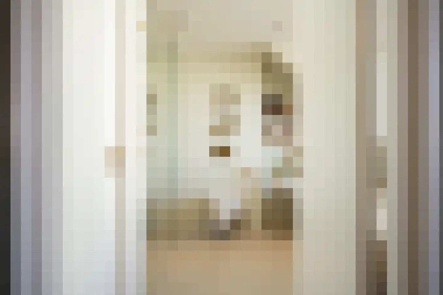 Jan van der Heydenstraat 41 Kootwijkerbroek thumbnail 36