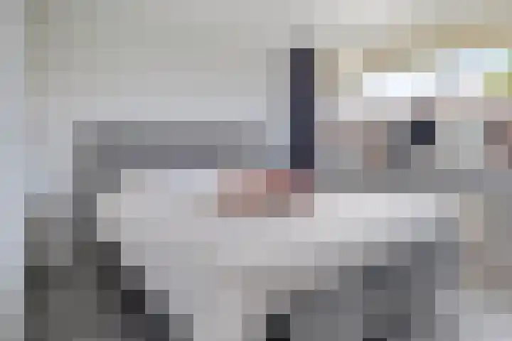 Jan van der Heydenstraat 52 Kootwijkerbroek thumbnail 12