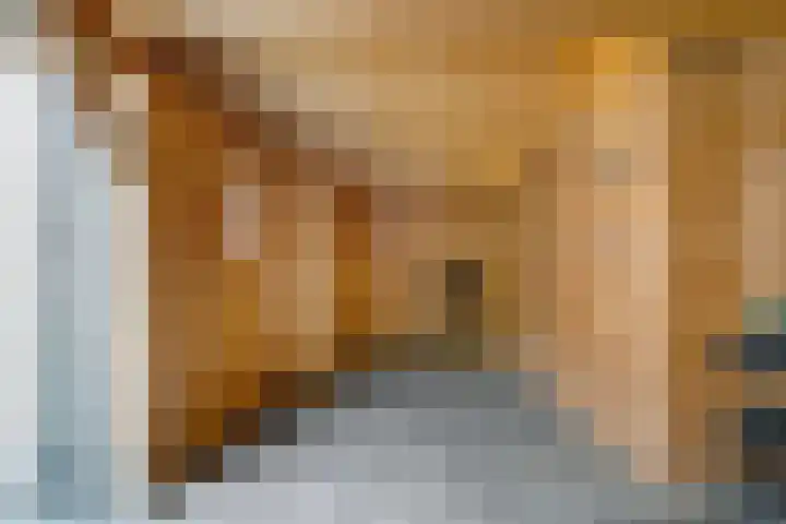Jan van der Heydenstraat 52 Kootwijkerbroek thumbnail 31