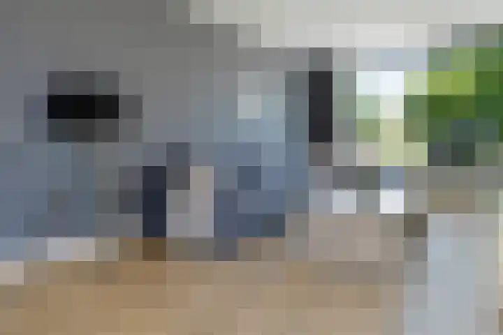Jan van der Heydenstraat 52 Kootwijkerbroek thumbnail 8