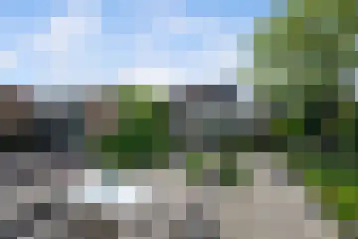 Jan van der Heydenstraat 7 Bleiswijk thumbnail 12