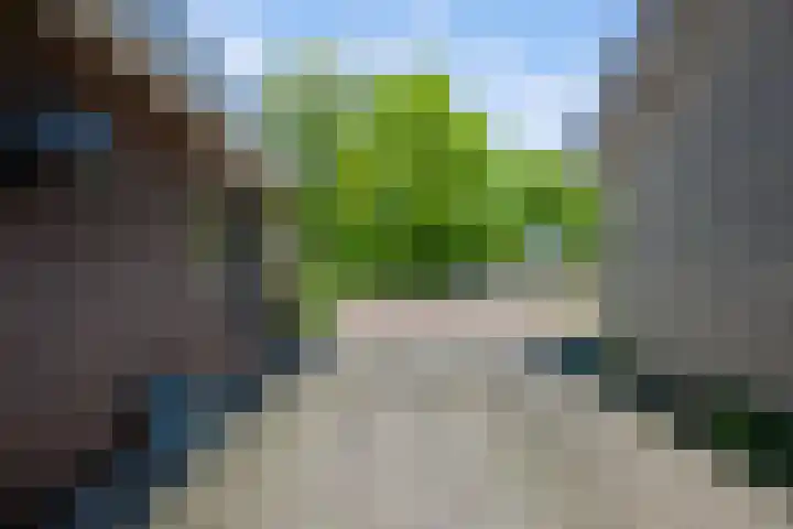 Jan van der Heydenstraat 7 Bleiswijk thumbnail 14