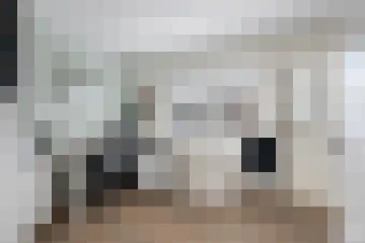 Jan van der Heydenstraat 7 Bleiswijk thumbnail 19