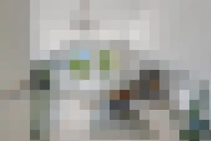 Jan van der Heydenstraat 7 Bleiswijk thumbnail 21