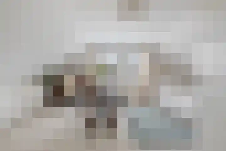 Jan van der Heydenstraat 7 Bleiswijk thumbnail 25