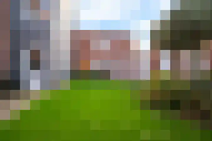 Jan van der Heydenstraat 77 Kootwijkerbroek thumbnail 31