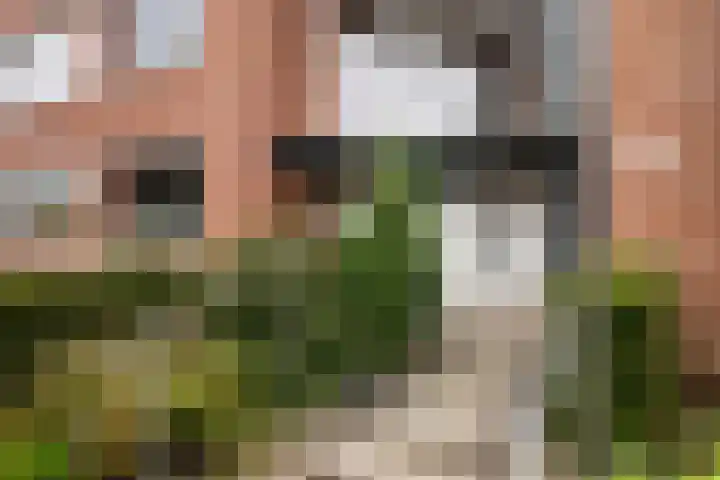 Jan van der Heydenstraat 77 Kootwijkerbroek thumbnail 36