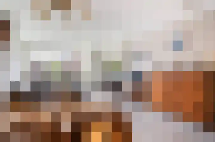 Jan van der Heydenstraat 77 Kootwijkerbroek thumbnail 4