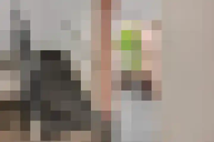 Jan van der Heydenstraat 79 Kootwijkerbroek thumbnail 10